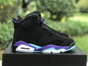 AJ Jordan 6 "Aqua" CT8529-004